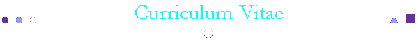 Curriculum Vitae
