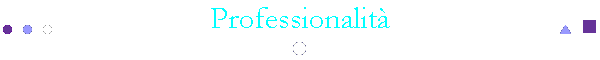 Professionalit
